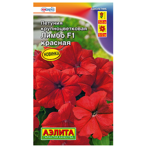 ���� ������. ������� ��������������� 