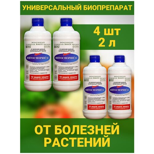 ���� ���������� �� ������������� ��������� ������������������ �������� ��� ������������ ������ ������� �������� �� ������� �������� 4 ������� �� 0,5�