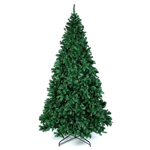 ���� ��� ������������� ������ ���������� ���������, 300 ��