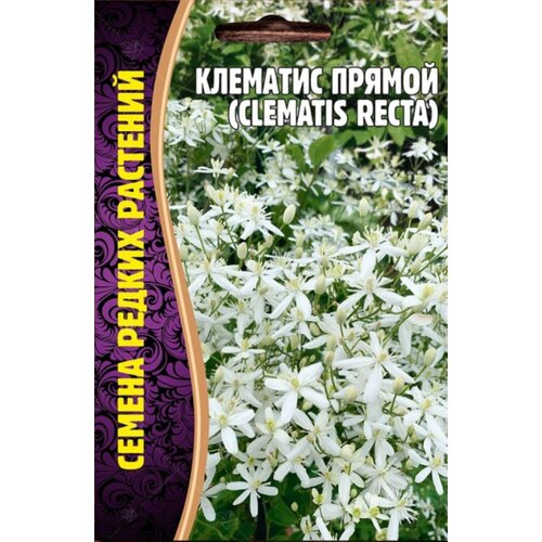      (Clematis Recta) (5 )  -     , -,   