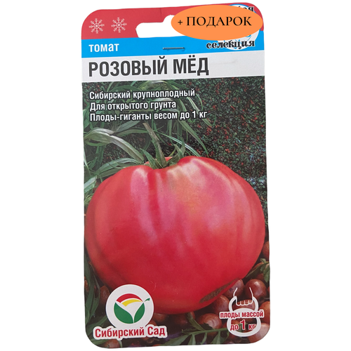 ���� ������ ����� 