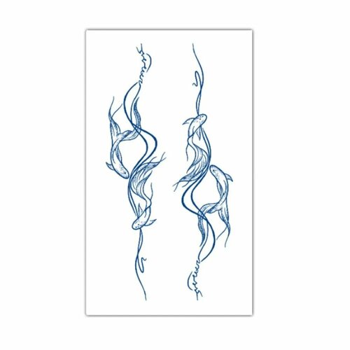 ���� ��������� ����, ���������� ���������� 