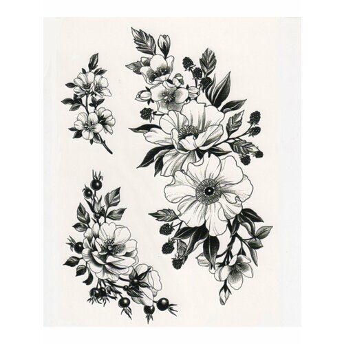 ���� ��������� ���� ������, ���������� ����������, �����, ����, ���������, ����, �����, ����������