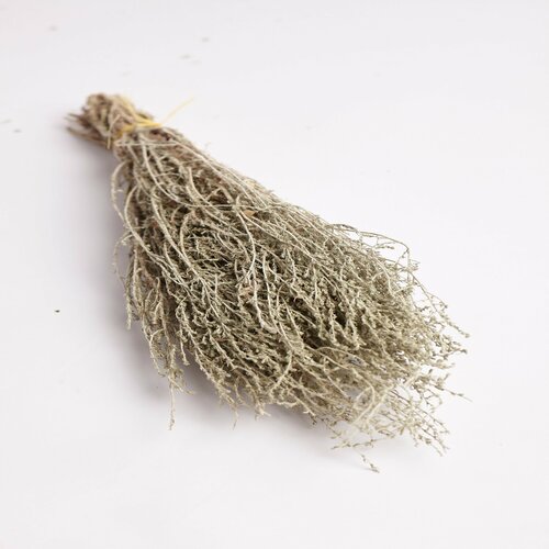 ���� ����� ��� ���� ������ ��������, �����������, �� ������ ����� ����- 4 ��.