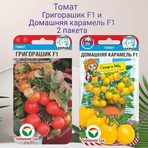 ���� ����� ����� �������� �������� F1 � ���������� F1 2 ������ �� 15�� �����