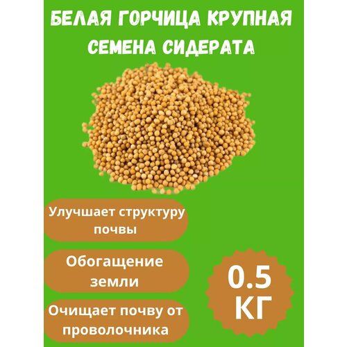 ���� ������ ������� ������� 0,5 ��