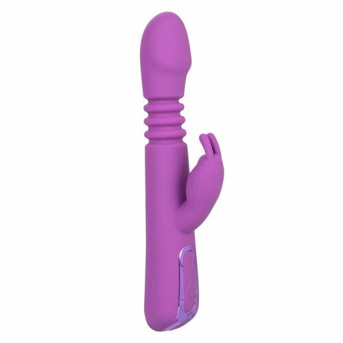    - Elite Thrusting Rabbit  -  - 23,5 . | California Exotic Novelties |     -     , -  