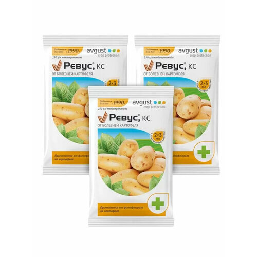 ���� Avgust �������� �� �������� ��������� �����, ��, 2 ��. � 3 �� 3 �����