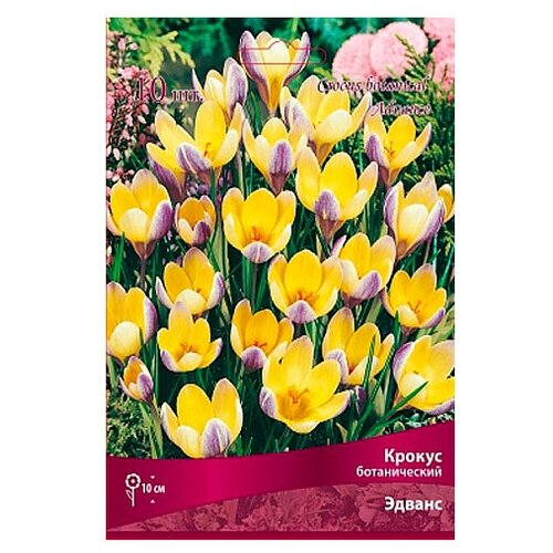 ���� ������ ������������ ������. 10 �������. ��������� �����