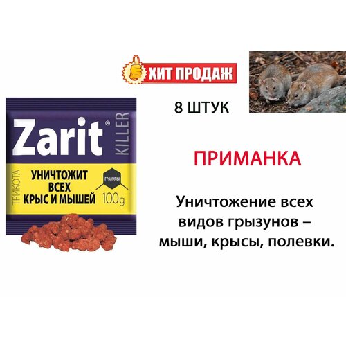      Zarit (), , 100 , 8   -     , -,   