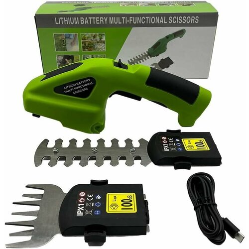 ���� ������� ������� �������������� 12�