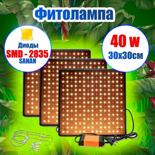    50w        -     , -,   