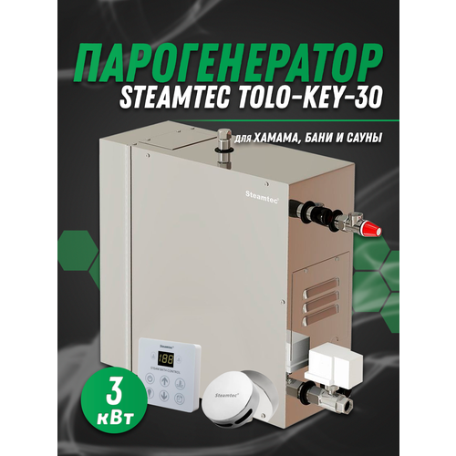      Steamtec TOLO-30-KEY (3 ), 220  -     , -,   