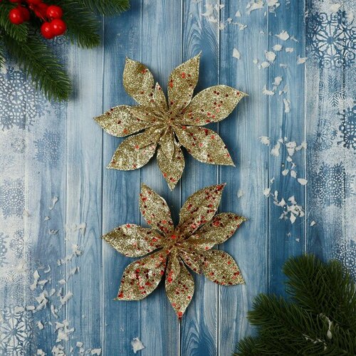 ���� ��������� ������� 