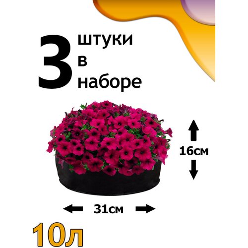 ���� ������ ���� 10� - 3��