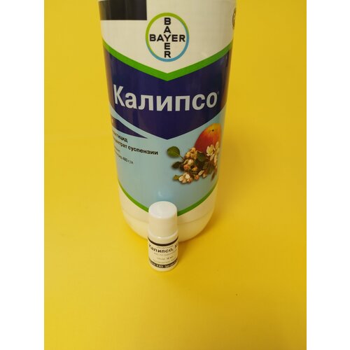 ���� ���������� ������� 10 ��