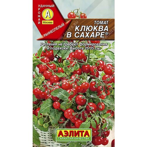 ���� ������ ����� ������ � ������ ����� 20�� ��� ������ (������)