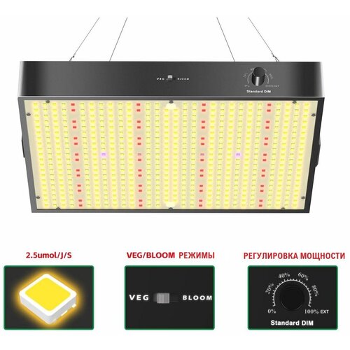    UPD100W      100w Samsung LM281B+RK LEVEL  -     , -,   