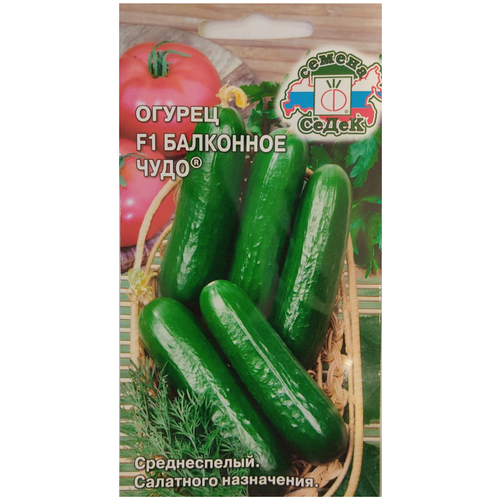 ���� ������ ������ ��������� ���� F1, 0,2 ��