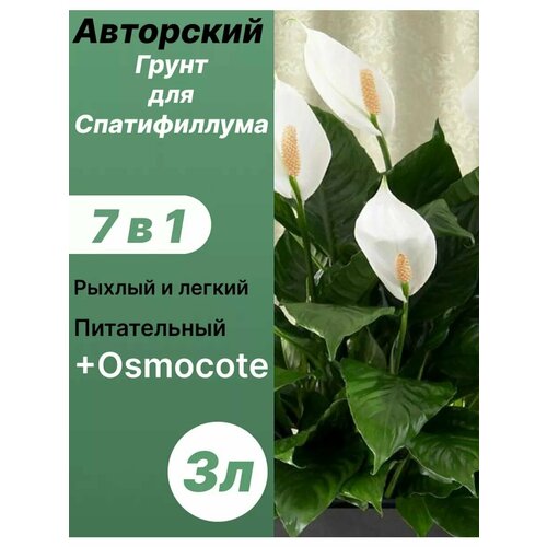 ���� ����� ��� ������������ 3� / �������