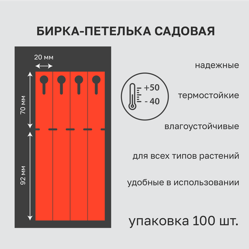       20x162 ( 70.) 100   -     , -,   