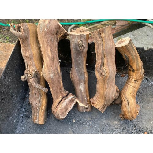 ���� ����� ����������� ���� 10��.