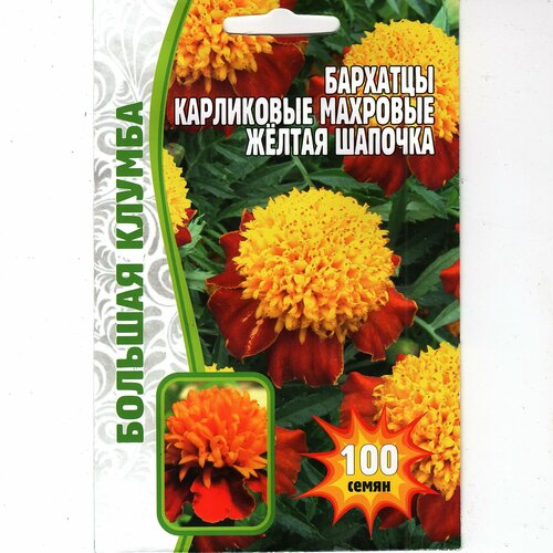 ���� �������� ���������� �������� ����� ������� ( 1 ��: 100 ����� )