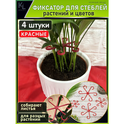 ���� KoLeli / ������ ����� ��� ����� ������� �������� / ������ ��� ��������� � �������� ������� � �����, �������