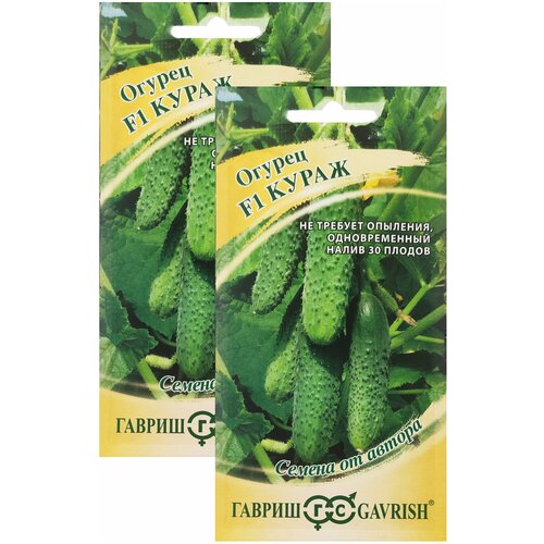 ���� ������ ����� F1 2 ������ �� 10�� �����