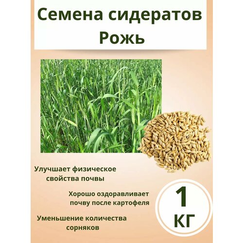 ���� ������ ��������� ���� 1 ��