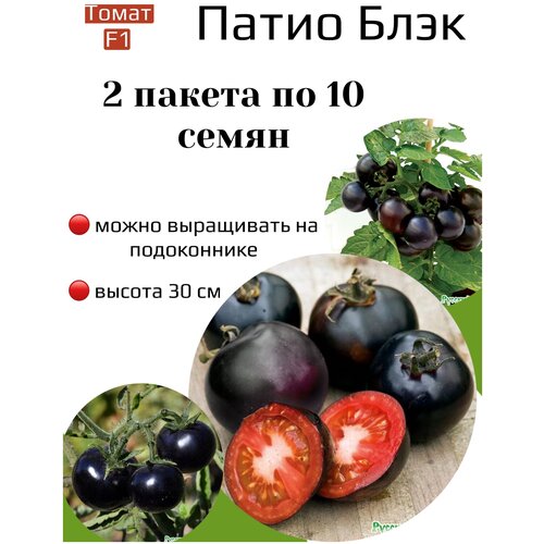 ���� ����� ����� ���� F1 2 ������ �� 10�� �����