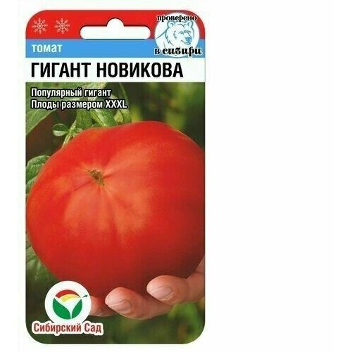 ���� ����� ������ �������� ��������� ��������� (1 ��������-20�� �����)