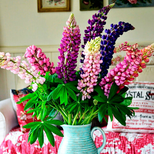 ���� ����� ������������ ����, ������, 30 ��