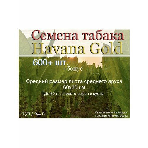     Havana Gold  -     , -  