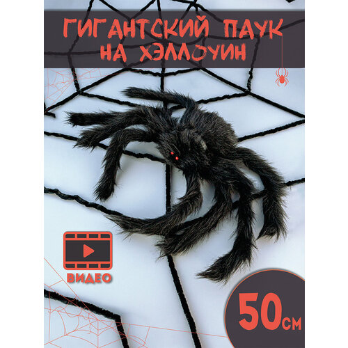 ���� ��������� ��� ��������� �������� ���������� ����, ������ ����, ������ 50 ��