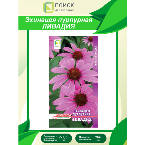 ���� ������ �������� ��������� ������� 20 ��.