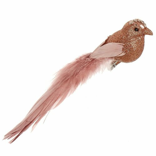 ���� ������� ��������� ������, �������, 18 ��, ���������, �������