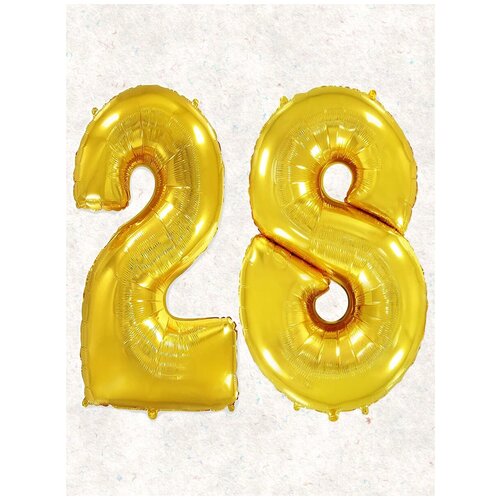 ���� ����� �����: ����� 28 ���, 100 ��