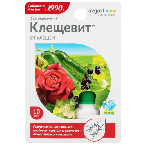   Avgust    , 10 , 10   -     , -,   