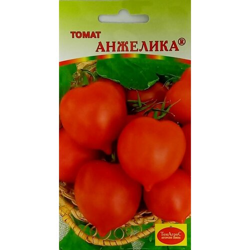 ���� ������ ����� �������� 15�� �������� ������ (�����)