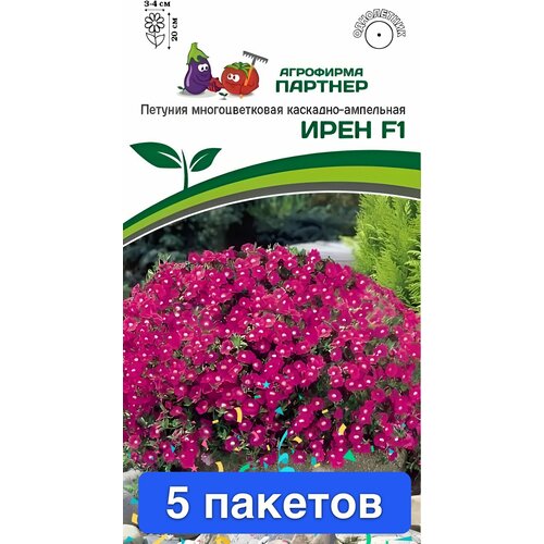 ���� ����� ������� ������ ���� F1 5 �������