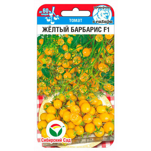 ���� ������ ����� ����� ������ �������� F1 15�� ����� ������ (��������� ���)