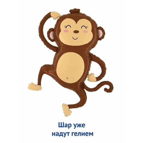 ���� ��������� ��� � ������ �������������� ������ ������ ��������