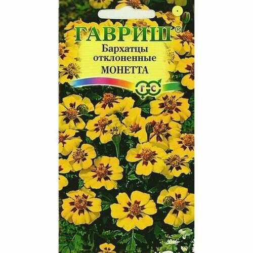 ���� ������ �������� ������� ����������, (������) 0,3�