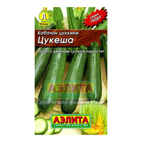 ���� ������ ������� ������ ������� 2� ������ (������)