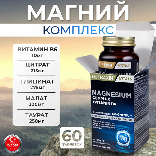 ���� ������ �6 ������ ����� ������ ����������� ������