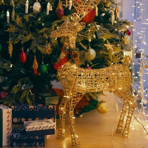 ���� ������������ ������ ������ ���������� 35 ? 60 ? 10 ��, ������, 220 �, ��������, �������� ����� �����