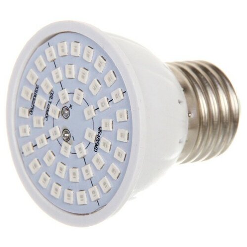         48LED 27  -     , -,   