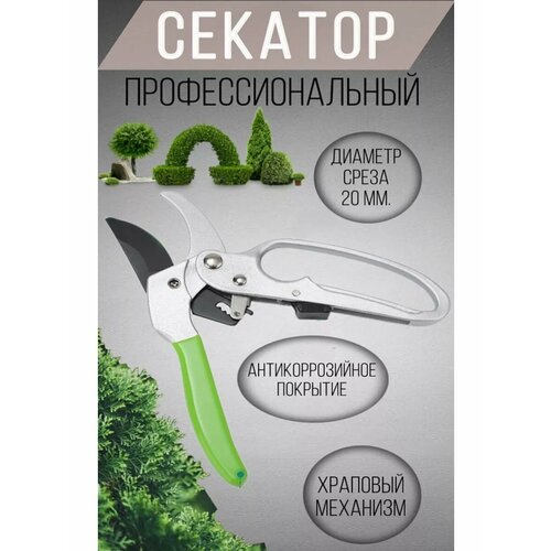 ���� ������� ������� ���������������� ��� ��������