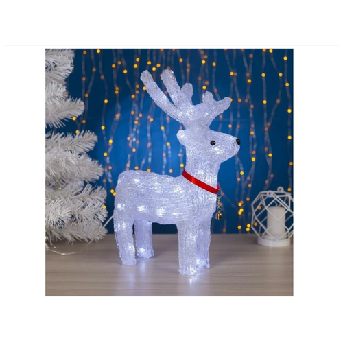 ���� ���������� ����� ���������� ������������, ������ ��� ����, ����������, ��� ����, �������� ����� ����, �����, 40 ��